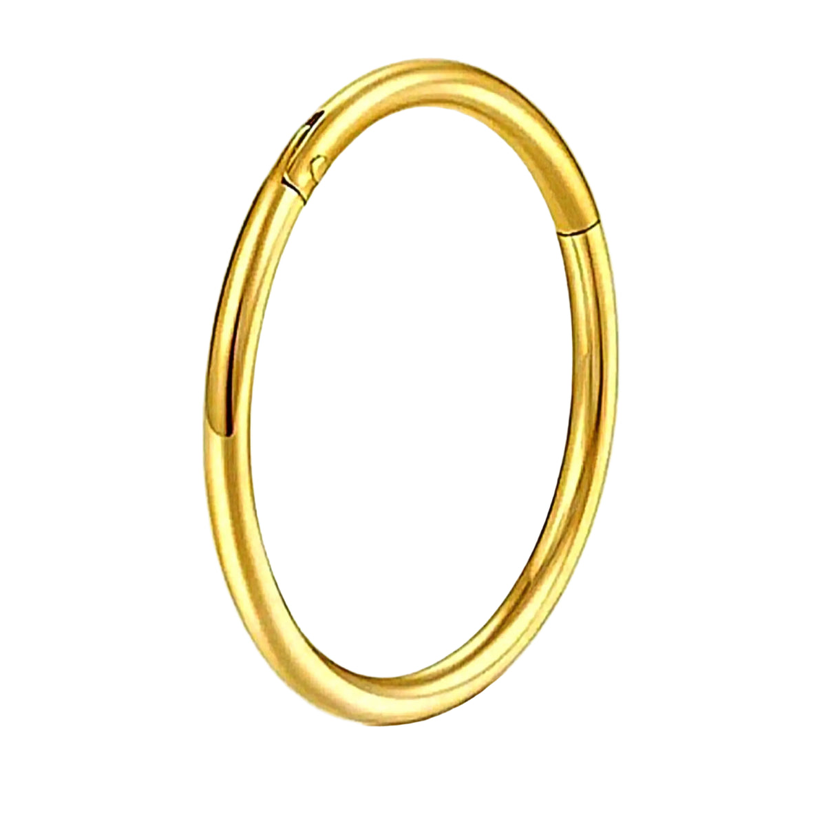 Gold Stainless Steel Clicker Segment Ring - Pretty Savage Jewellery