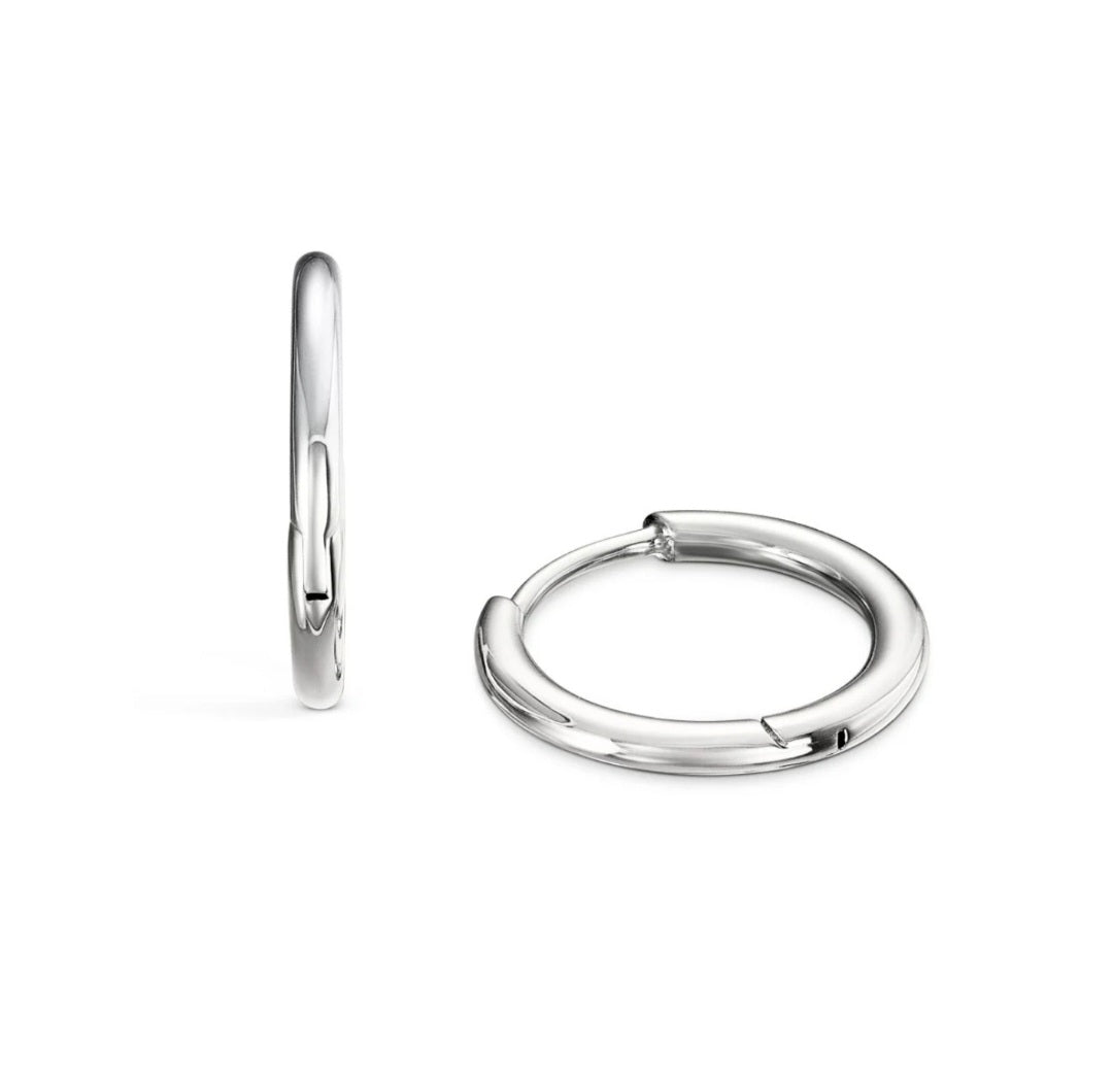 Hinged Steel Hoop Earring