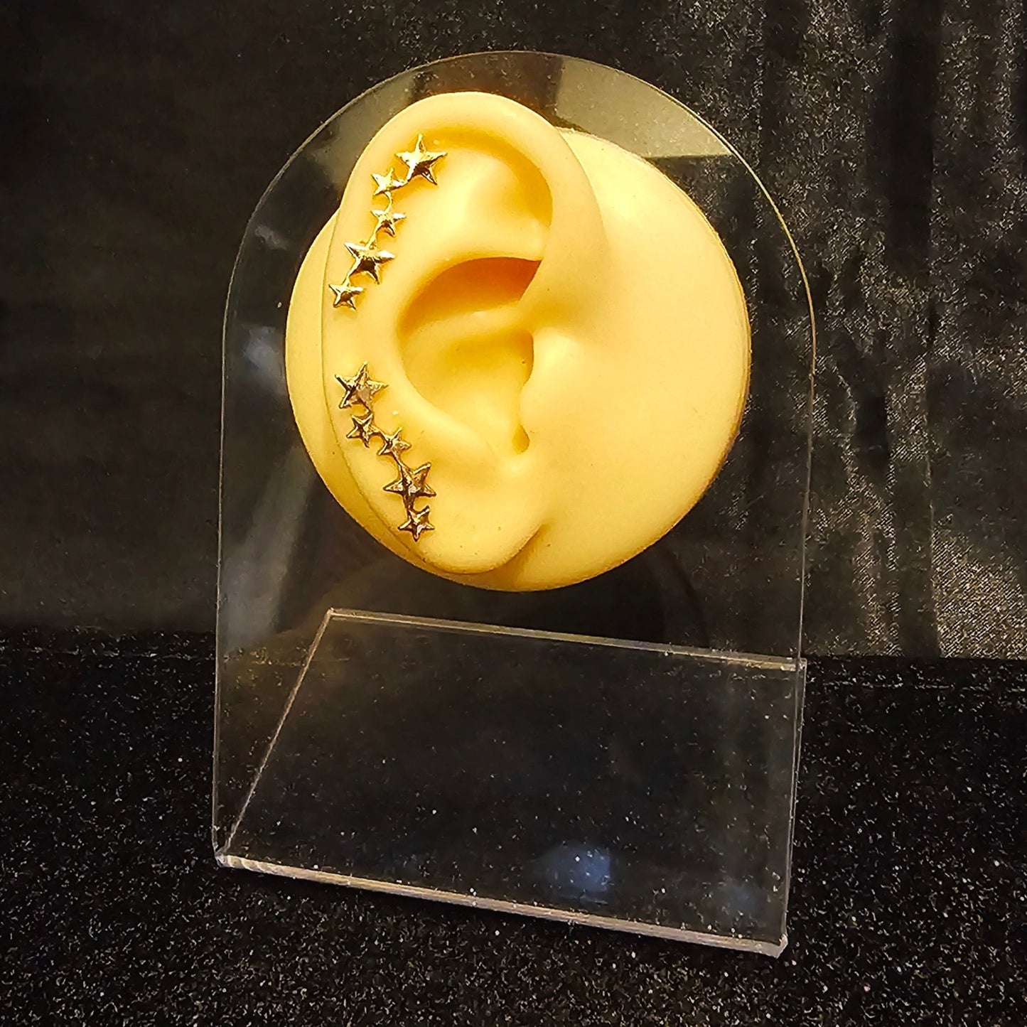 5 Star Golden Ear Stud Climber - Pretty Savage Jewellery