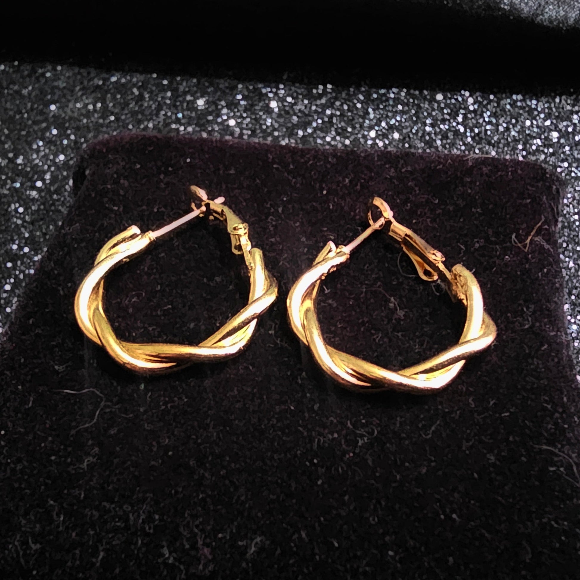 Golden Twisted Hoop Earring Pair - Pretty Savage Jewellery